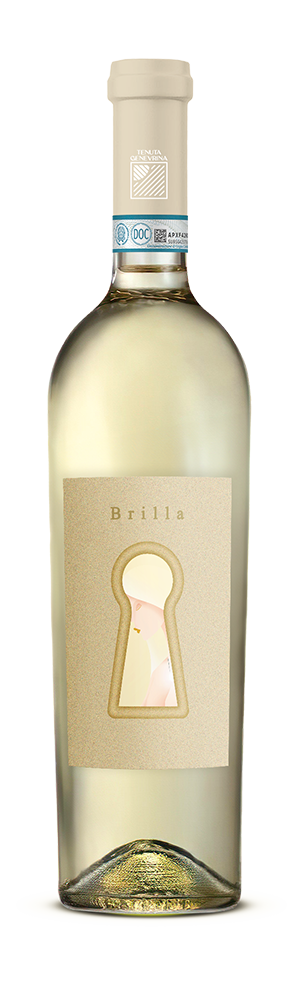 Bottiglia di Brilla, un vino spumeggiante con un design che richiama energia e luminosità.