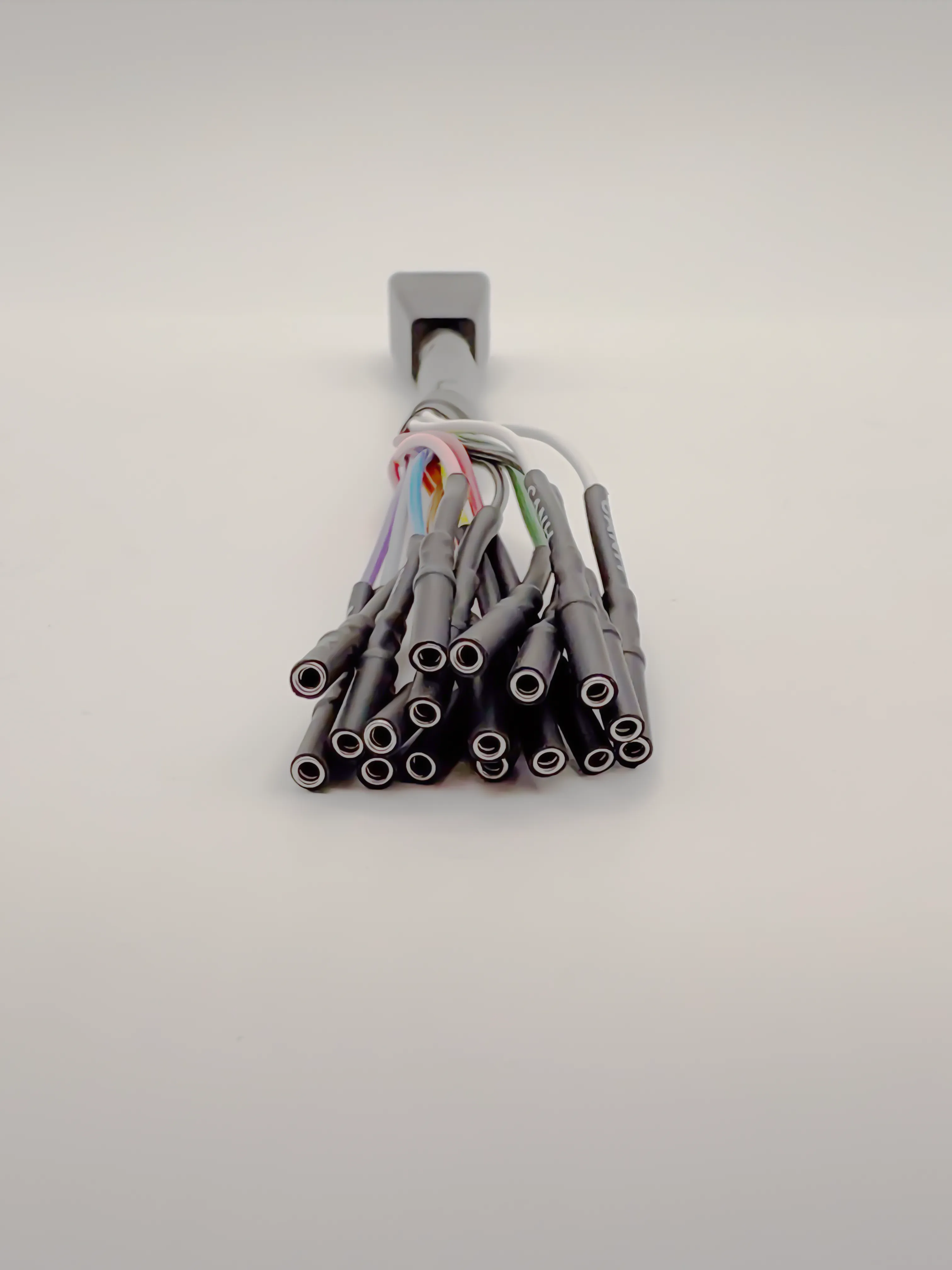 IMG_9083